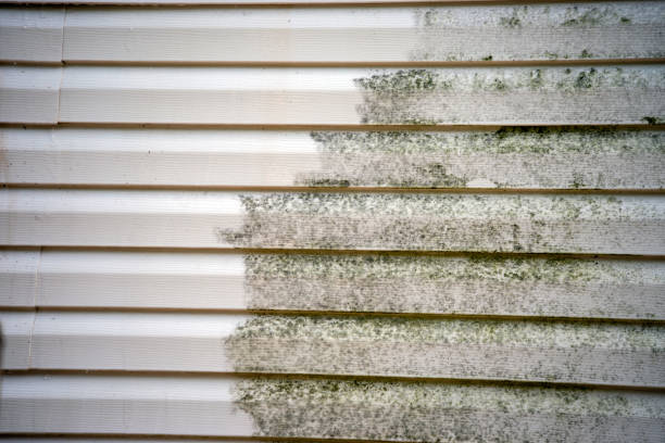 Best Stone Veneer Siding  in Moundville, AL