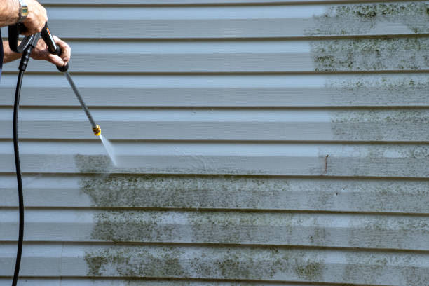 Best Wood Siding Installation  in Moundville, AL