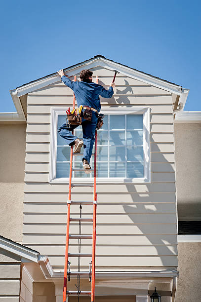 Best Steel Siding Installation  in Moundville, AL